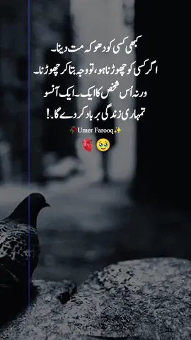 #1millionaudition #umerfarooq25522#fyp  #poetrystatus #foryoupage 