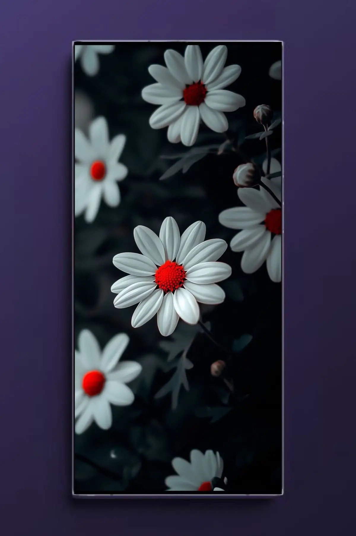 #hdwallpapers #wallpaper #fypviralシ #8kwallpaper #4kwallpaper 