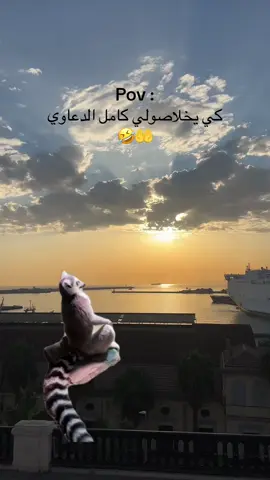 #MemeCut #Meme #MemeCut 