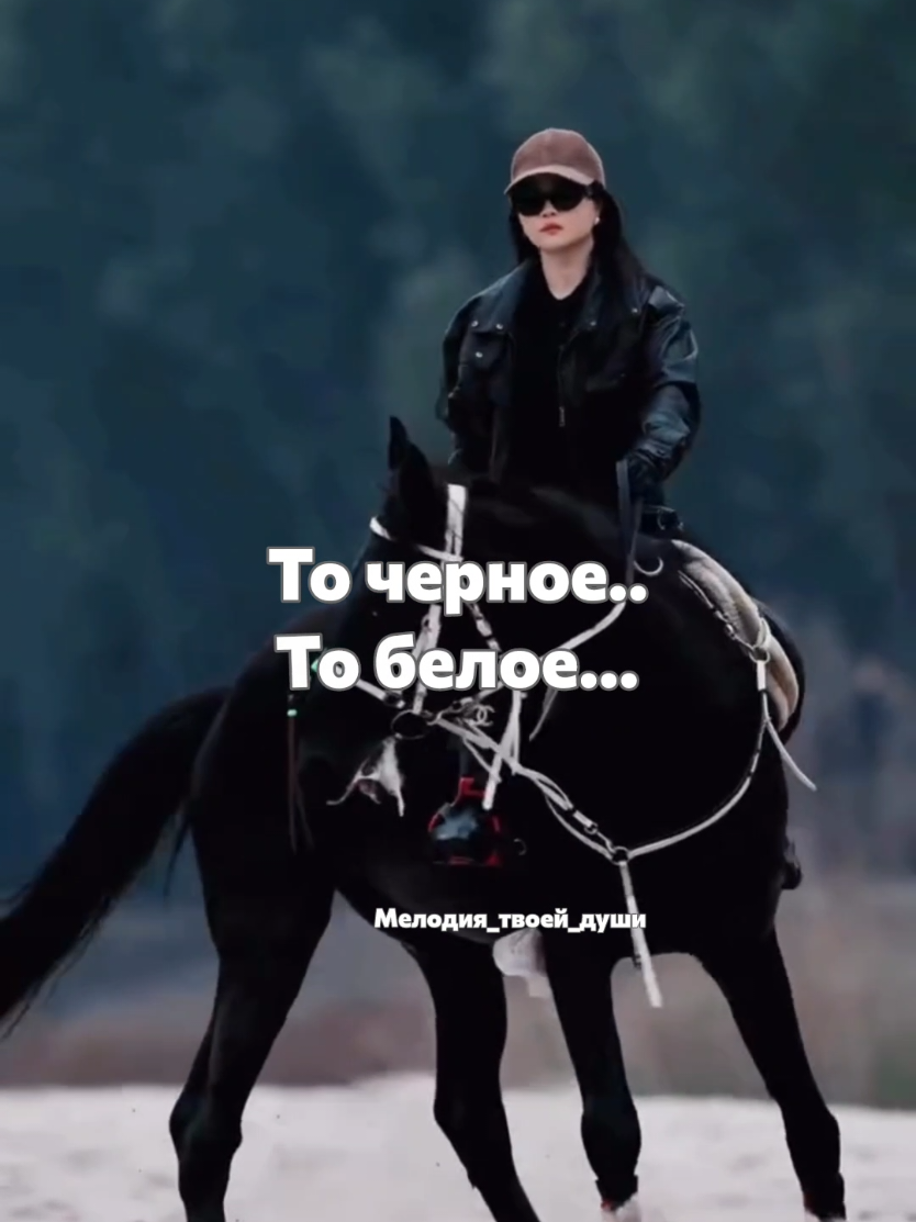 Все треки вы можете скачать на моем телеграм канале 