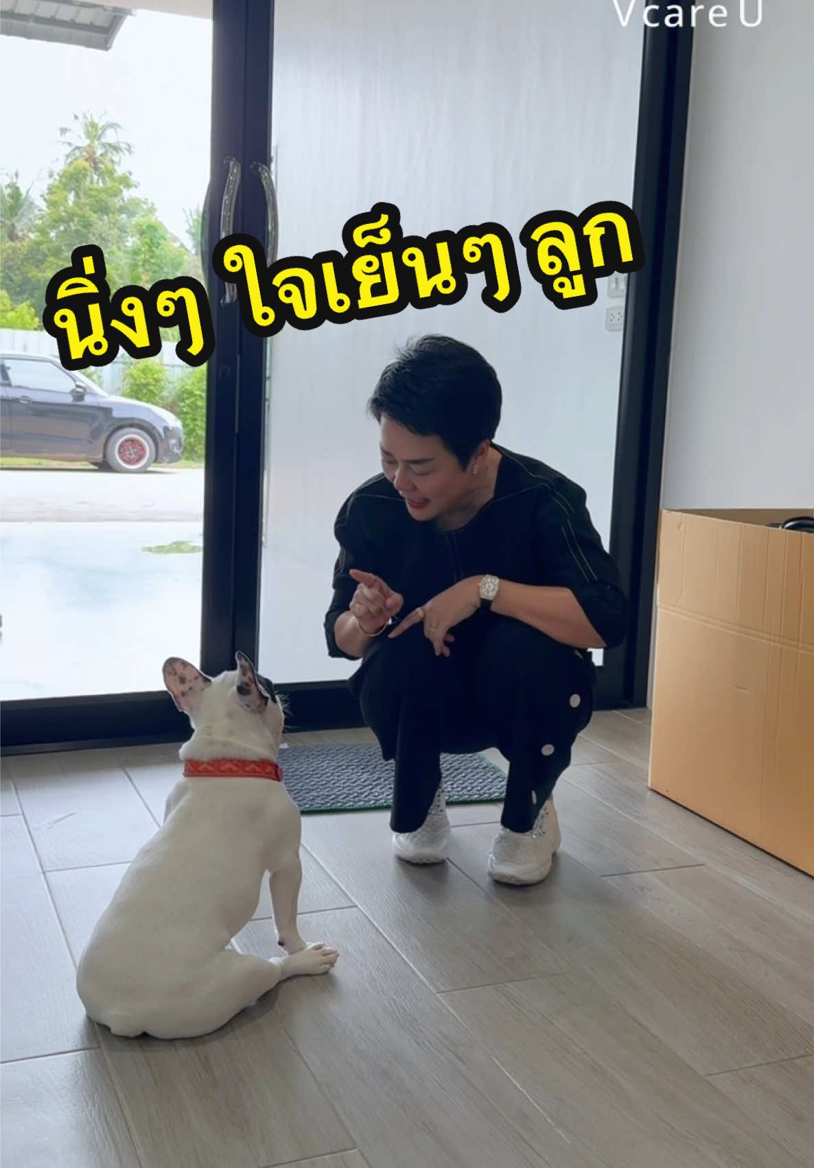ดีใจเกินไปแพงเอ๊ยยยย 🤣#พี่ไก่เลี้ยงหมา17ตัว #วีแคร์ยูไทยแลนด์ #น้องหมา #พะแพง #ทาสหมาทาสแมว 