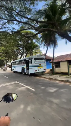 අපි නිතර ආව ගිය තැන නිසා 😭🇱🇻#folowers #memories  #iccians #ibbagamuwacentralcollege #fyyyyyyyyyyyyyyyy