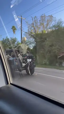 Happy Halloween #skeleton #halloween #rock #fypシ゚viral 