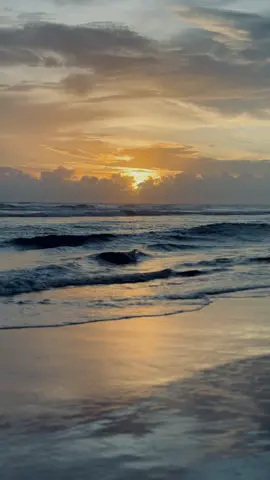 #bdtiktokofficial #highlight #fyp #bangladesh🇧🇩 #coxbazarbeach @TikTok Bangladesh @TikTok 