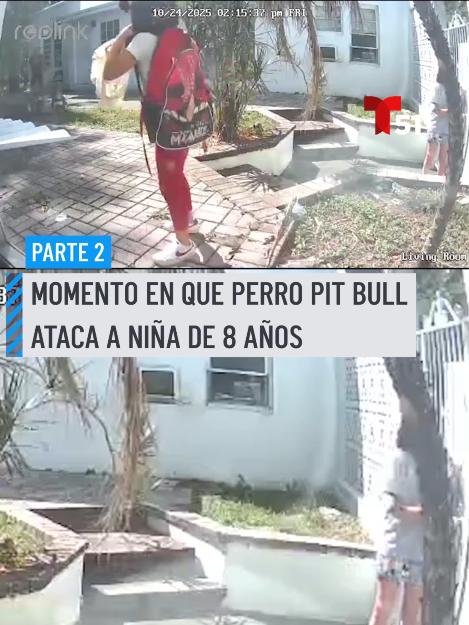 Parte 2: Un video captó el ataque de un perro pit bull a una niña de 8 años cuando regresaba a su casa junto a su madre en Hollywood, Florida. El vecino dueño del animal se abalanzó para detener el ataque hasta que finalmente logró liberar a la menor. La niña sufrió mordidas en el rostro, confirmó la Policía de Hollywood. #pitbull #perro #ataque #hollywood #florida