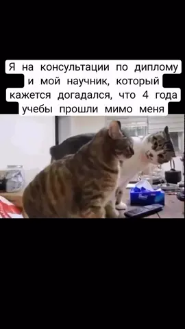 Нужна помощь  с дип./диссерт- пиши «ЦЕНА» в директ. Более 1000 защищённых дипломных и диссертаций Более 10 лет опыта