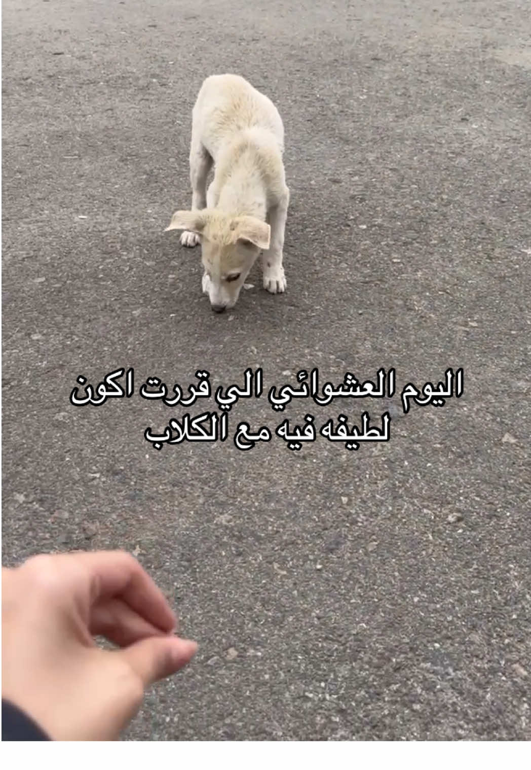 مو عشاني ميكب ارتست يعني ما أشارك معاكم😂😂 #اليوم_العشوائي 