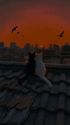 کوشش کریں جو لوگ آپ کے بغیر زندگی ميں خوش ہیں تو انہیں خوش ہی رہنے دی۔ .  . .  .  .  .  .  .  .  .  .  ...............  #fyp #foryou #foryoupage #trending #viral 