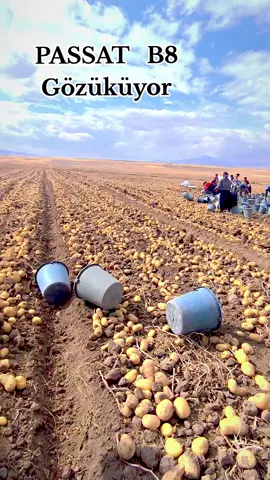 Hala patatezde olan varmı@aydın 21 @🔱D A Ğ T E K İ N🔱 @wp Mehmet 💛❤️ @Akrep 50 @♕︎ 𝗛𝗲𝘀𝗼𝗼♕︎ @İsmail_yardimci @⚡Şehmus★ yardımcı⚡ @Osman Karataş @Cesur bey✍️ 