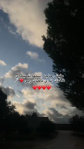 مدامي ❤️💍 #بنغازي_ليبيا🇱🇾 #ليبيا🇱🇾 #pov #funny #الحب❤️ 