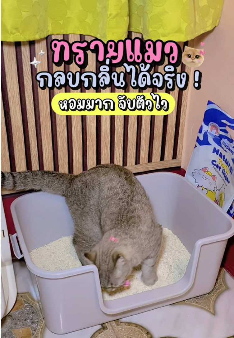 ปกติเข้าห้องมาทีแทบเป็นลม แต่แบรนด์นี้ไม่เลย ! หอมเหมือนเดิม #ทรายแมวเต้าหู้ #ทรายแมวไร้ฝุ่น #ทรายแมวmypaws #mypaws #mypawsแจกทรายแมวฟรีตลอดปี 