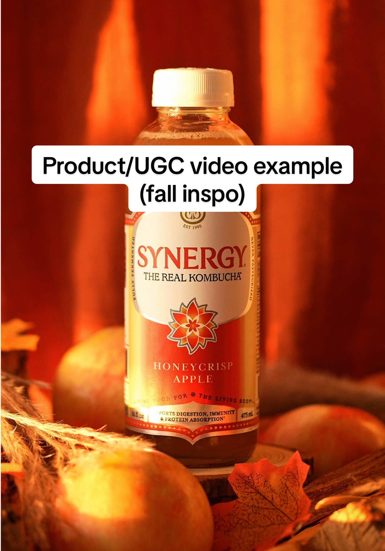 Recreating one of my favorite shots I made for @SYNERGY Kombucha - this time captured in golden hour light for that natural sunset glow🌅 What do you think of the result? #ugc #productvideo #productphotography #ugccontentcreator #contentcreatortips 