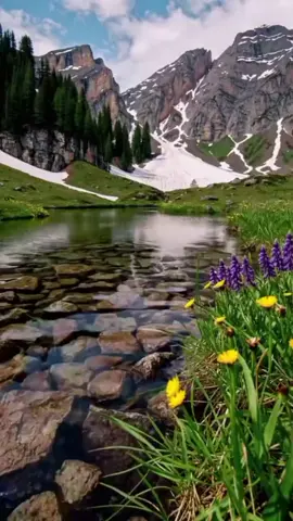 #Creator search insights#قران#