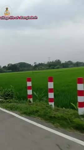 #bangladesh🇧🇩 #trendingvideos #foryou #bdtiktokofficial #viral 