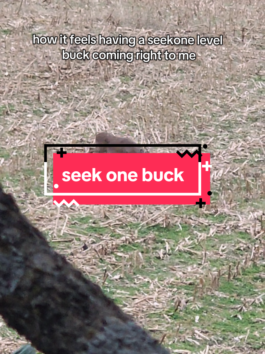 just out of range 😩 #bucktober #seekone #bbd #whitetail #therut 