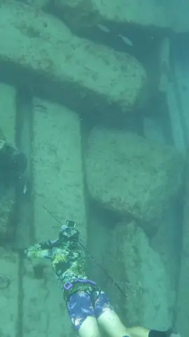 spearfishing Big fish  #spearfishing #fishing #shark 