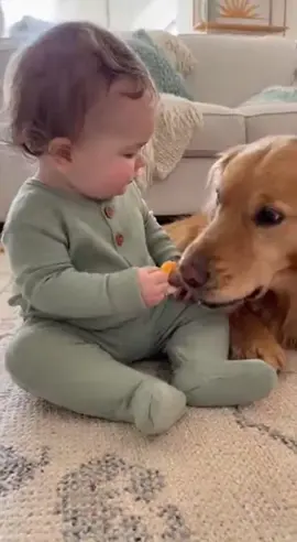 cute baby and dog 🐕🐶🥰🥺🍼🐥