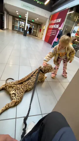 🥰🐆🤗🐕 Det finast man kan se ,att barn leker med Max 🤗🐕