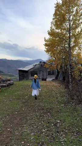 სამშაბათის ვლოგით დაგიბრუნდით❤️  #მასწავლებელი #მაღალმთიანიაჭარა 