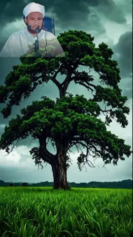 #halmar_igula_saliya_rasuulkeena_maxamed_ #scwscwscw💓💓💓 #allahuakbar #yaarabi🤲🤲🤲 @1.M SHEEKH XASAN CALI.JABUTI🕌 @Q o s l a y e @ILYAAS1033 