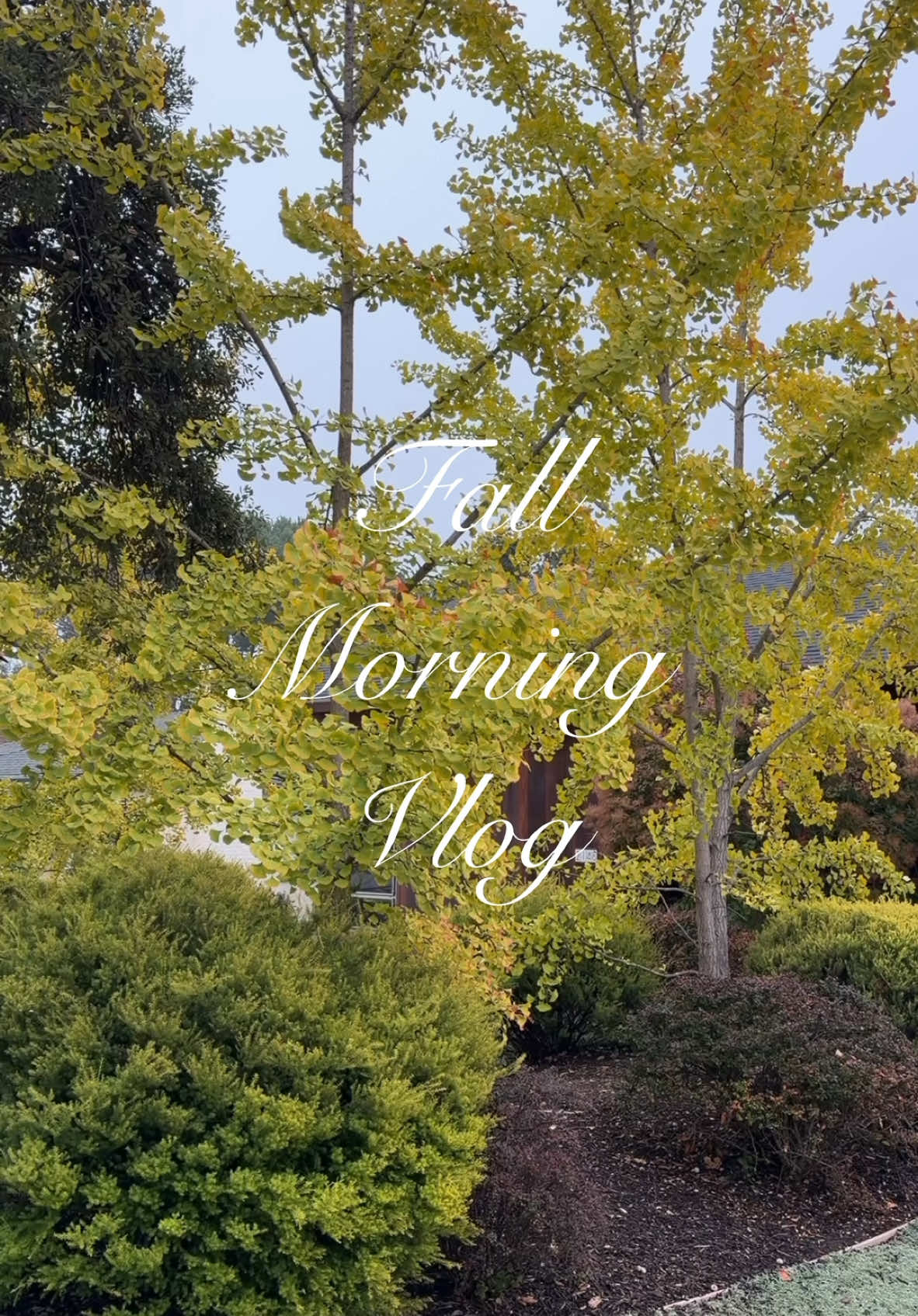 a crisp morning HATES to see me coming 🍂🚶🏽‍♀️🍵   #fallaesthetic #morningvlog 