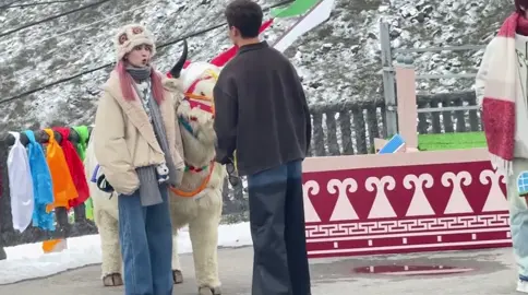 [Day 2 KR- Mùa Thiên Lộ] Mỏi mắt với mỏi miệng lắm nha 😂#BaiLu #白鹿 #LyBoiNghi #DiepLy #BachLoc 