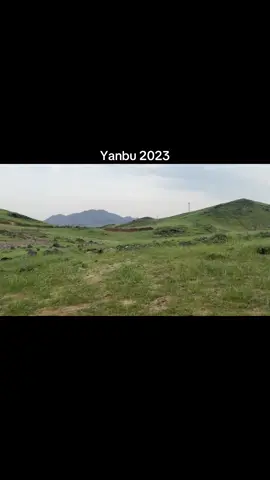 #ينبع 2023