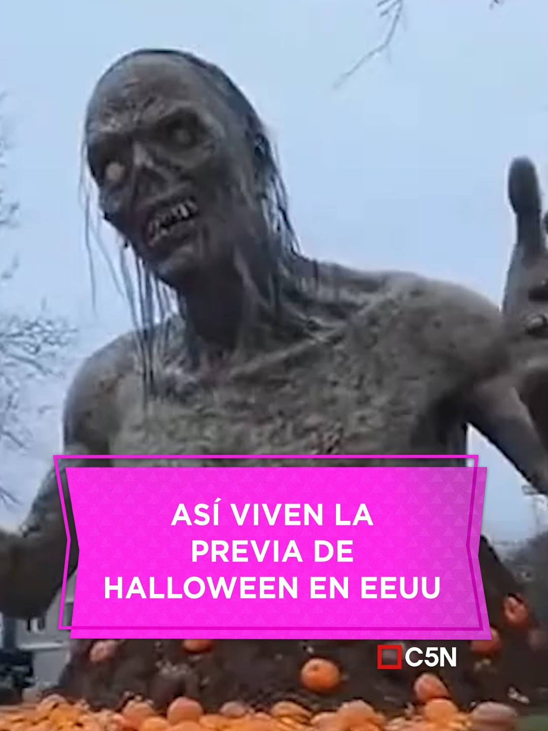 Así viven la previa de Halloween en Estados Unidos #Halloween #Estadosunidos #Halloweenhouses