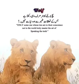 The art of speaking the truth belongs only to those whose connection is with their conscience, not with the world.#growmyaccount #foryou #viralvideos #plesaunfrezzmyaccount #frezzmyaccount 