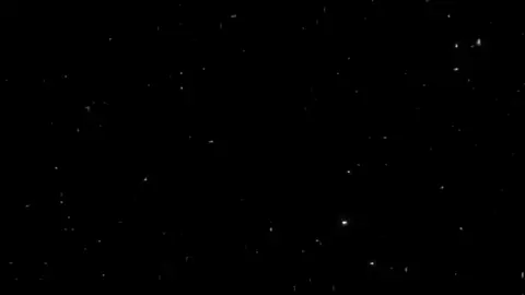 مش هسبهااا ✨ #عمار_حسني #تصميمي #حب #foryou #video 