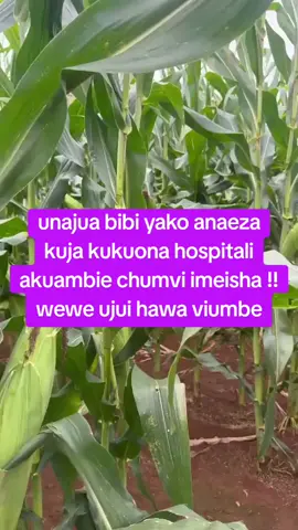 #viralvideo #fypシ #kenyantiktok🇰🇪 #viral #fypシ 