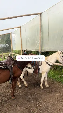 #medellincolombia #albania #viral 
