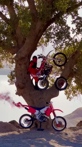 ماشاءالله لە ماڵی هەموو لایەک🌹@Nawroly📸 #نەوڕۆڵی #هەڵەبجە #foryou #vrial #fyp 