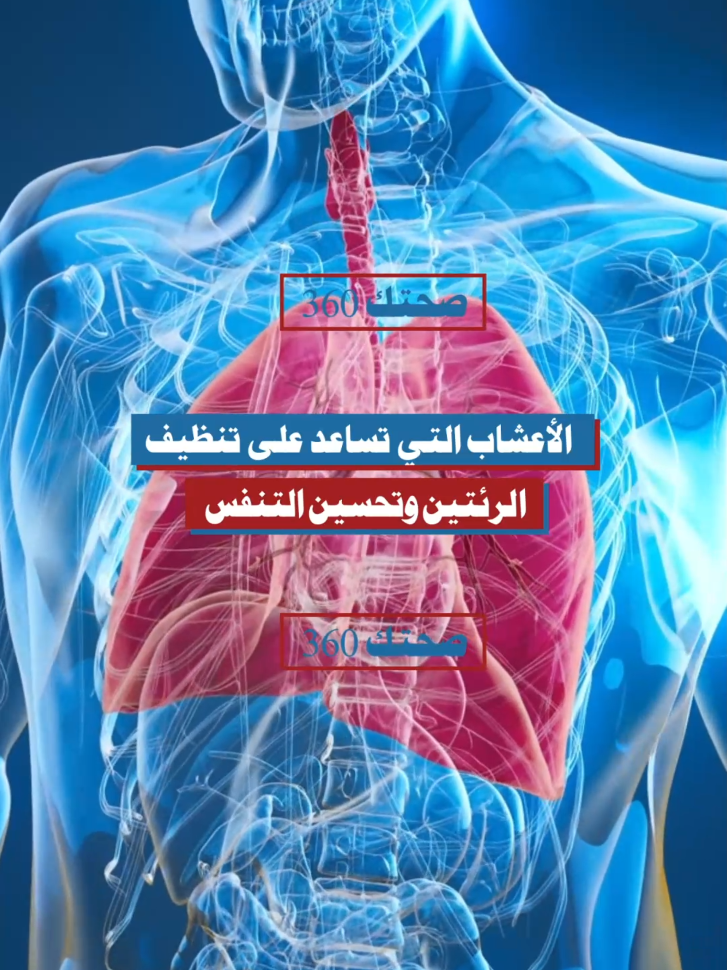 الأعشاب التي تساعد على تنظيف الرئتين وتحسين التنفس #تنظيف_الرئتين #التنفس #نصائح_صحية