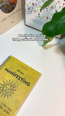 Manifesting những tháng cuối năm nào ✨✨✨#tutoan #BookTok #manifest #booktokvietnam #xuhuong 