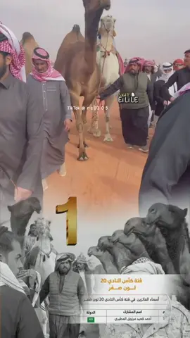 #اكسبلورexplore #نحارات_الصفر #احمد_قعيد #قعيدالمجد #احمد_قعيد_الشلاحي 