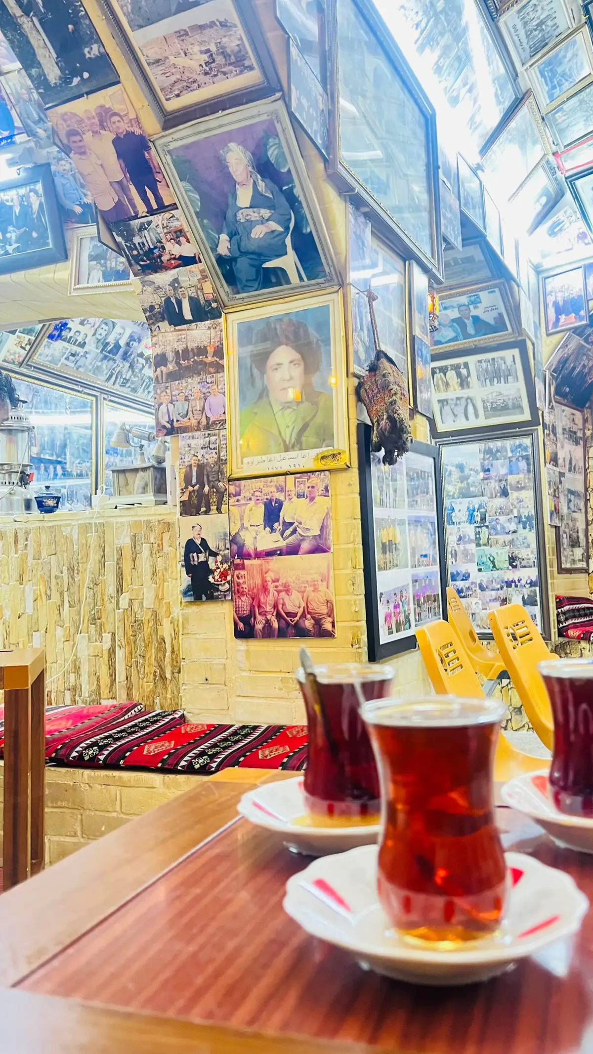 #تەڵعەت_تاهیر #داریوش #fyp #foryou #fyppppppppppppppppppppppp 