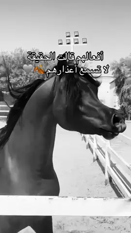 #خيل_وخياله🐎 #fyp #viral #اقتباسات #اكسبلورexplore 