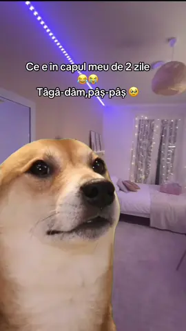 #CapCut #meme #fyyyyyyyyyyyyyyyy #foryou 