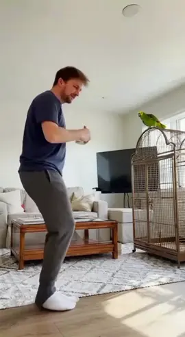 This Parrot Can’t Stop Laughing at His Owner 😂 Funniest Bird on TikTok! #FunnyParrot #USAForYou #AmericanTikTok #ViralLaughs #petcomedy 
