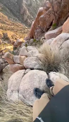 #تصويري📸 #مقناص #ميسان_بالحـارث #اكسبلوررررر 