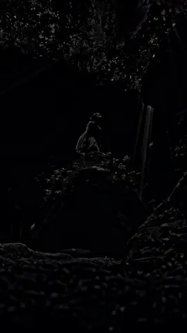 20:50#jawi_bila🌊❤️🌴 #somalileyric🎧🌴❤️ #qalbijab😥💔😥 