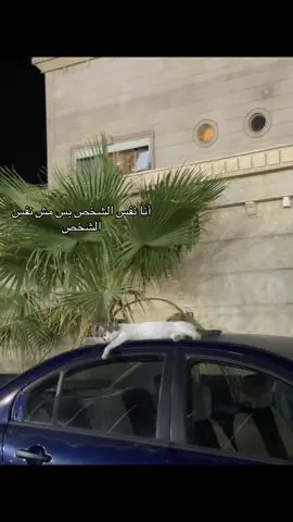 أنا نفس الشخص بس مش نفس الشخص #explore #pov #viral #fyp #sad 