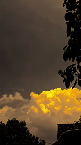 لا تخف من تحسين نفسك 