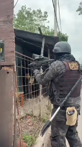 Sannicolasvirtual:🚨 ¡Golpe al Hampa! La DDI San Nicolás Desbarata Peligrosa Banda de Robos Calificados 🚨 ​ Una ola de robos calificados que aterrorizaba a los vecinos de la zona sur de la ciudad llegó a su fin gracias a una brillante y coordinada labor investigativa de la Delegación Departamental de Investigaciones (DDI) San Nicolás, en conjunto con otras fuerzas de seguridad locales. ​ >> Rápida Respuesta ante la Alarma Social<< ​La DDI San Nicolás actuó de inmediato tras recibir reiteradas denuncias de ciudadanos que fueron abordados en la vía pública por una banda de sujetos que se movilizaban en bicicletas.  Estos delincuentes, mediante la intimidación con armas de fuego, despojaban a las víctimas de sus pertenencias, generando una gran preocupación en el ámbito local. ​El equipo de detectives de la DDI, liderado por la exhaustiva recolección de pruebas, llevó adelante labores de campo intensivas, la toma de declaraciones testimoniales clave y un meticuloso análisis de las cámaras de seguridad públicas y privadas. Estas tareas permitieron a los investigadores identificar a dos de los principales autores de los hechos: NN Leonel y NN Nicolás. ​ Múltiples Allanamientos y Contundentes Secuestros ​Con la información recabada, y bajo la intervención de las Unidades Funcionales de Instrucción (UFI) N° 02 a cargo de la Dra. Franca Padulo y N° 01 a cargo de la Dra. Verónica Marcantonio, se dispusieron cinco allanamientos en distintos domicilios de la ciudad. La ejecución de los operativos contó con el apoyo fundamental de la Comisaría Segunda, el Grupo GAD, la UPPL, el Comando de Patrullas (CP) y la UTOI, demostrando una sólida articulación interinstitucional. >>​Los resultados de los procedimientos fueron contundentes: >>​Aprehensiones Clave: Se logró la aprehensión de NN Leonel y NN Nicolás, principales sospechosos de los robos. >>​Armamento Incautado: Se secuestró una 