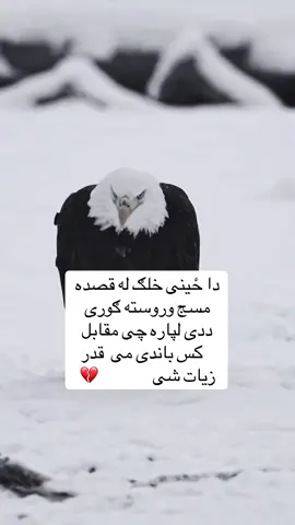 #پشتون_تاجیک_هزاره_ازبک_زنده_باد🇦🇫 