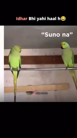 #fyppppppppppppppppppppppp 