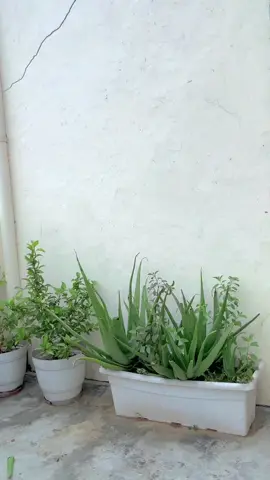 #☝️☝️☝️🙏🙏🙏😘😘😘😘 