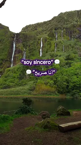 الصراحة فن وليست سلاحًا  La sinceridad es un arte, no un arma