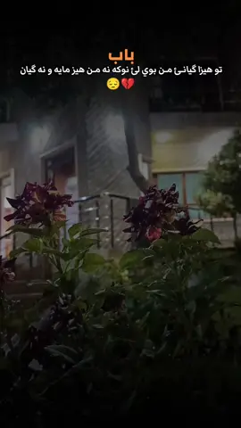 اخ بابي من💔😔#sultan97💚 